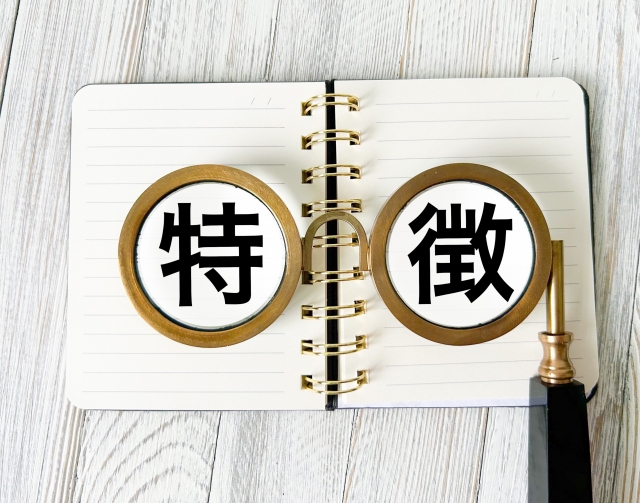 特徴の文字列とめがね